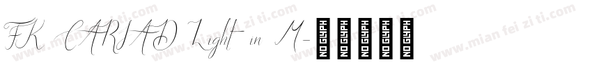 FK CARIAD Light in M字体转换